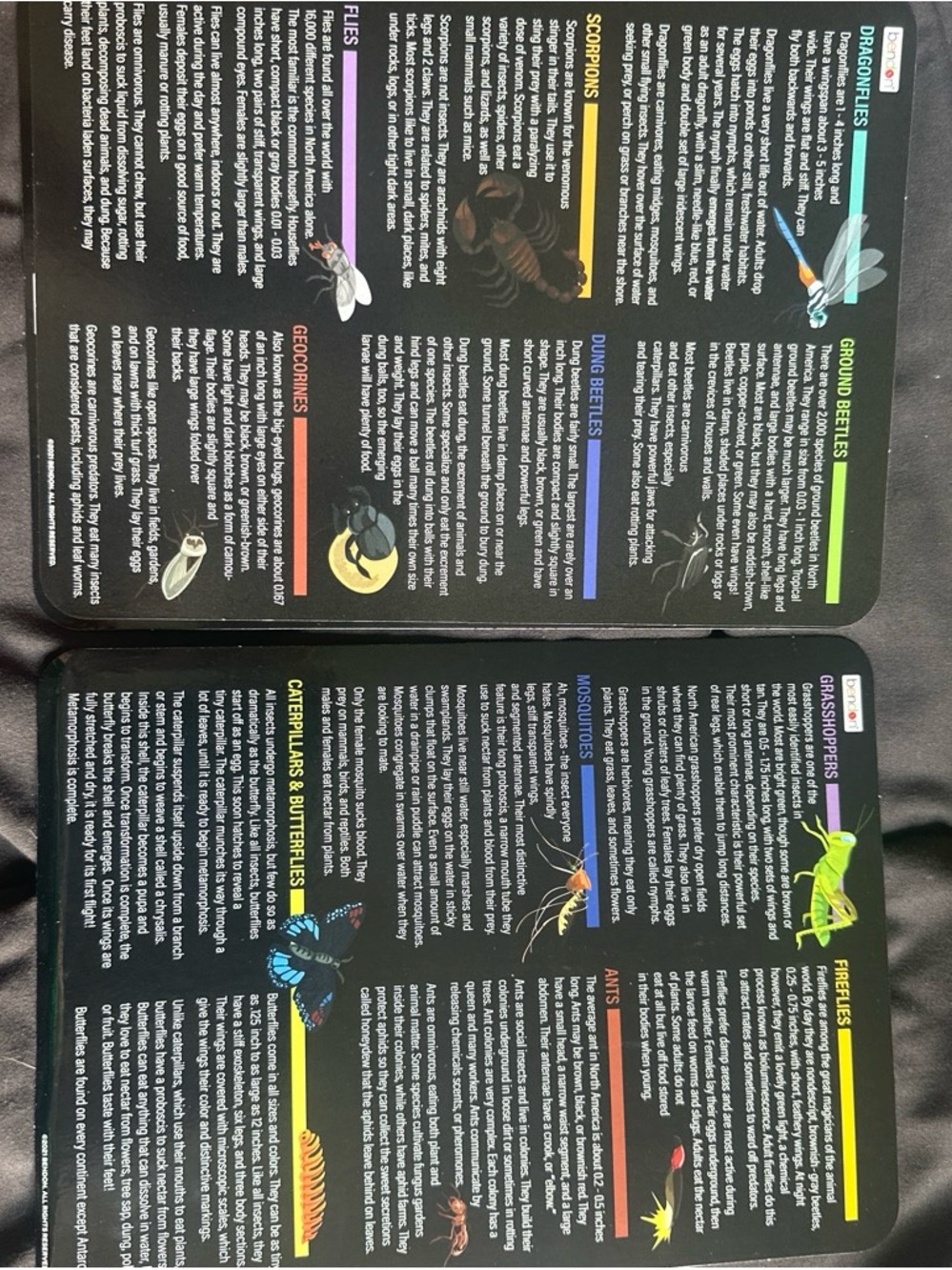 Bendon Bug Science STEM Learning Set - Picture 6 of 7